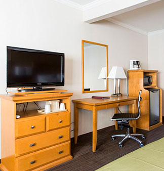 WE PROVIDE A HOST OF IN-ROOM CONVENIENCES